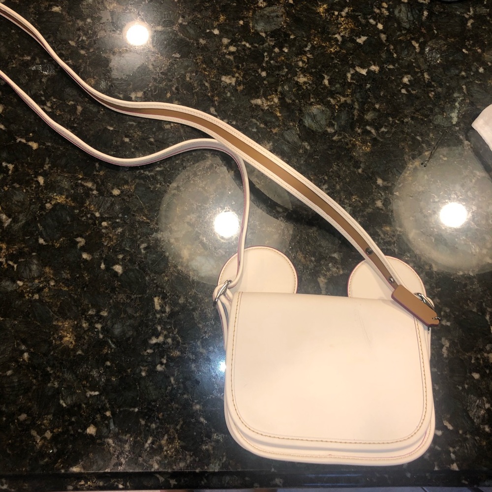 Disney Mickey Coach bag